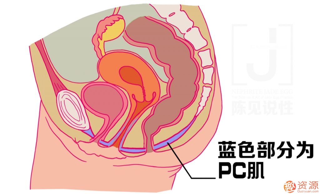 女性朋友怎么練習(xí)玉蛋功？玉蛋功鍛煉詳解插圖