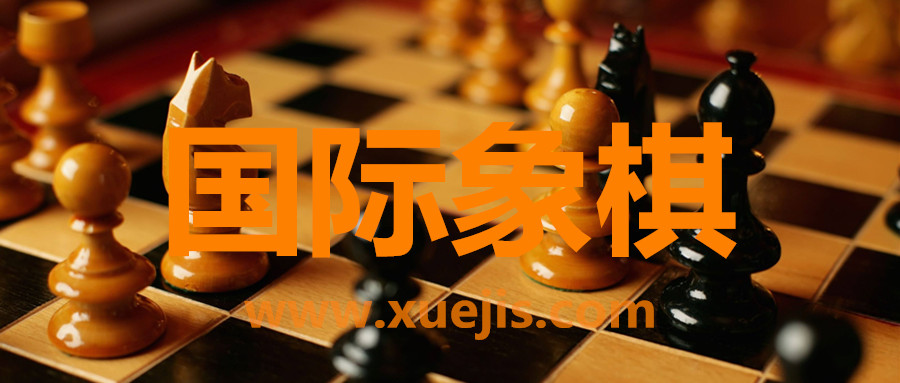 國(guó)際象棋視頻教程  百度網(wǎng)盤(pán)插圖