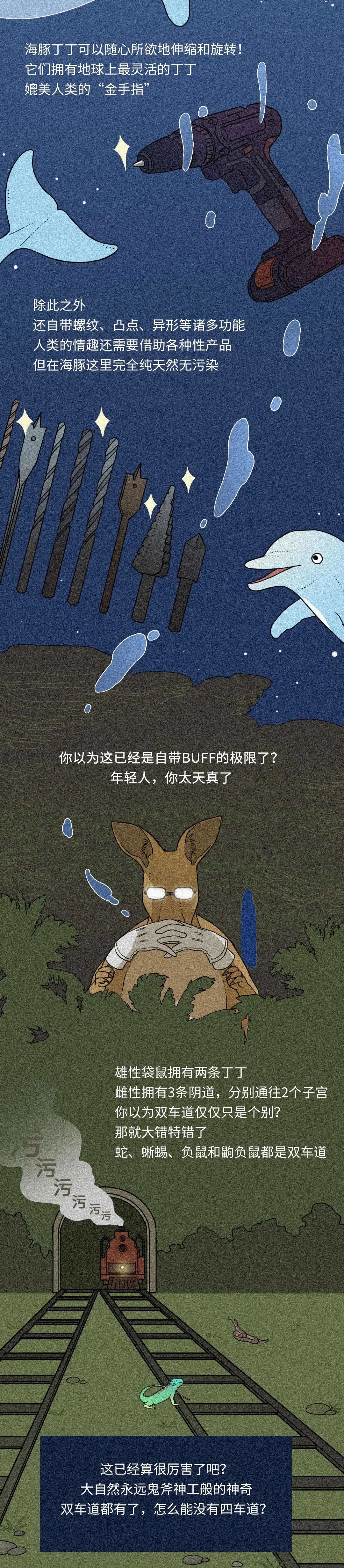 在性事上，人類差遠(yuǎn)了！插圖1