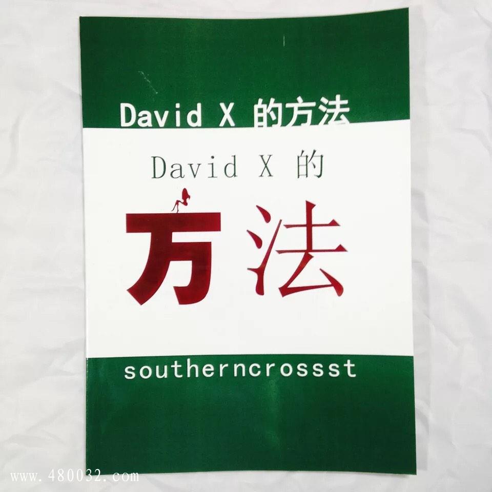 《David+X方法》PDF掃描版_百度云網(wǎng)盤(pán)資源教程插圖