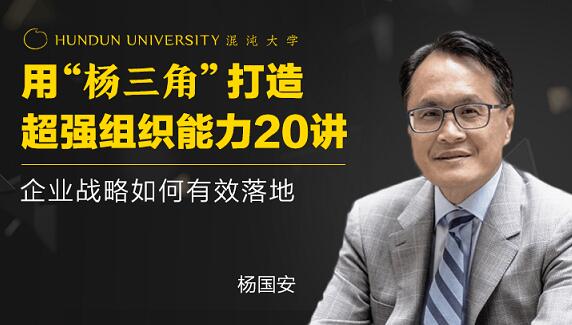 楊國(guó)安《打造超強(qiáng)組織能力20講》企業(yè)戰(zhàn)略如何有效落地_百度云網(wǎng)盤(pán)教程視頻插圖