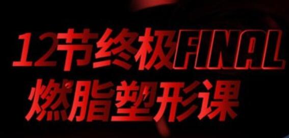 寧澤濤、張鈞甯、李晨健身教練黨寧遠：12節(jié)終極燃脂塑形課 百度云分享_百度云網(wǎng)盤教程視頻插圖