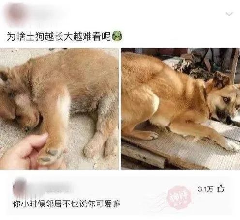 大長腿一字馬蜘蛛俠？插圖12
