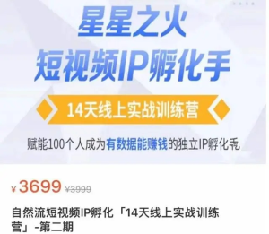 瑤瑤?自然流短視頻IP孵化第二期，成為有數(shù)據(jù)能賺錢(qián)的獨(dú)立IP孵化手百度網(wǎng)盤(pán)插圖