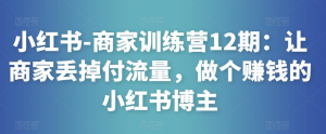 小紅書-商家訓(xùn)練營12期：讓商家丟掉付流量，做賺錢小紅書博主百度網(wǎng)盤插圖