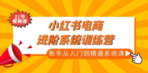 小紅書電商高階系統(tǒng)教程，新手從入門到精通系統(tǒng)課百度網(wǎng)盤插圖