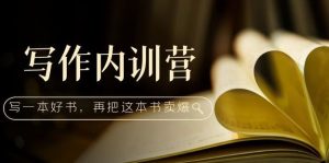 寫作內訓營：百萬級大佬教你如何寫一本好書百度網(wǎng)盤插圖