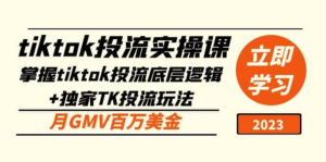 tiktok投流實操課：掌握tiktok投流底層邏輯+獨(dú)家TK投流玩法月GMV百萬美金百度網(wǎng)盤插圖