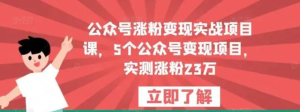 公眾號漲粉變現(xiàn)實戰(zhàn)項目課，5個公眾號變現(xiàn)，漲粉23萬百度網(wǎng)盤插圖