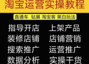 2023淘寶開店教程0基礎到高級全套視頻網店電商運營培訓教學課程（2月更新）百度網盤插圖