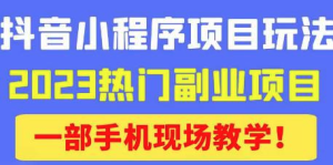 抖音小程序9.0新技巧，2023熱門副業(yè)項目，輕松變現(xiàn)百度網(wǎng)盤插圖