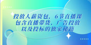 三里屯?投放人薪資包，6節(jié)直播課，直播帶貨、廣告投放獨(dú)家秘籍百度網(wǎng)盤插圖