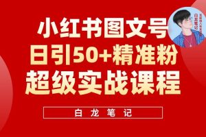 小紅書圖文號(hào)日引50+精準(zhǔn)流量，新手小白實(shí)戰(zhàn)的小紅書引流課百度網(wǎng)盤插圖