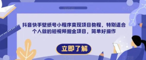 抖音快手壁紙?zhí)栃〕绦蜃儸F(xiàn)項(xiàng)目教程，適合個(gè)人短視頻掘金項(xiàng)目百度網(wǎng)盤插圖