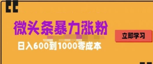 微頭條暴力漲粉技巧搬運文案就能漲幾萬粉絲，0成本日賺600百度網盤插圖