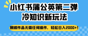 小紅書蒲公英冷知識新玩法，照搬作品賺錢副業(yè)百度網(wǎng)盤插圖