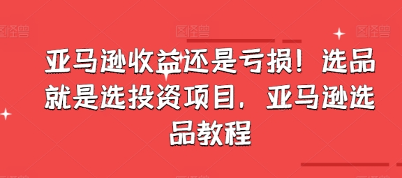 亞馬遜收益還是虧損！選品就是選投資項(xiàng)目，亞馬遜選品教程插圖