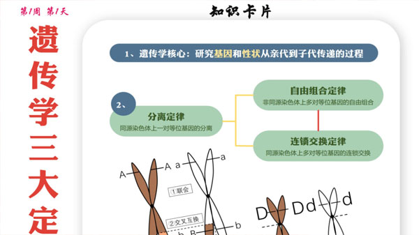 2024屆高考高三各科夢(mèng)想點(diǎn)當(dāng)鋪課件合集插圖