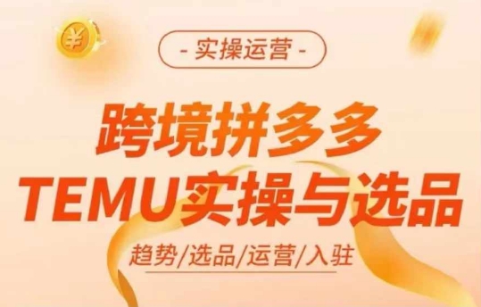 跨境拼多多TEMU實(shí)操與選品，多多temu跨境選品運(yùn)營實(shí)操插圖