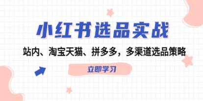 《小紅書(shū)選品實(shí)戰(zhàn)》站內(nèi)、淘寶天貓、拼多多，多渠道選品策略插圖