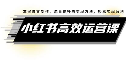 《小紅書高效運營課》掌握爆文制作、流量提升與變現(xiàn)方法，輕松實現(xiàn)盈利插圖