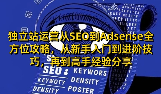 獨立站運營從SEO到Adsense全方位攻略，從新手入門到進階技巧，再到高手經(jīng)驗分享插圖