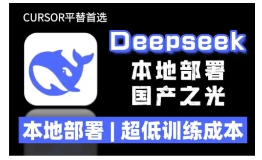 2025年deepseek R1 大型模型本地安裝部署(文件+教程)本地部署，超低訓(xùn)練成本插圖