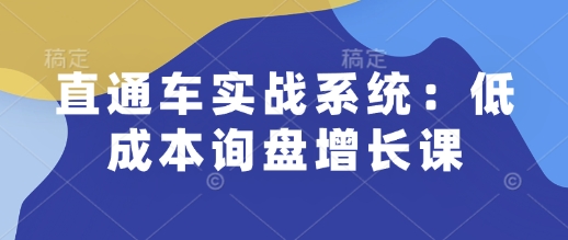 直通車實(shí)戰(zhàn)系統(tǒng)：低成本詢盤增長課插圖